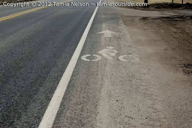 Bad Bike Lane