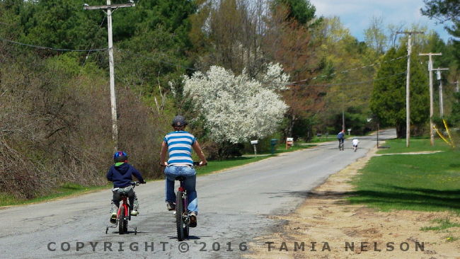 Family Bike Ride - (c) Tamia Nelson - Verloren Hoop - Tamiasoutside.com