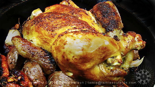 Roasted Chicken and Veg for Dinner - (c) Tamia Nelson - Verloren Hoop - Tamiasoutside.com