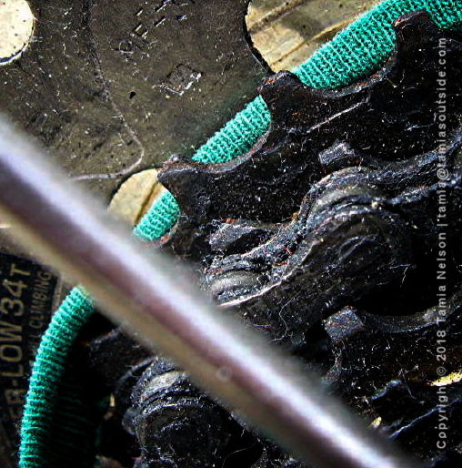 Cleaning Bicycle Gears - (c) Tamia Nelson - Verloren Hoop - Tamiasoutside.com