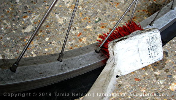 Cleaning the Bike Wheels and Rims - (c) Tamia Nelson - Verloren Hoop - Tamiasoutside.com